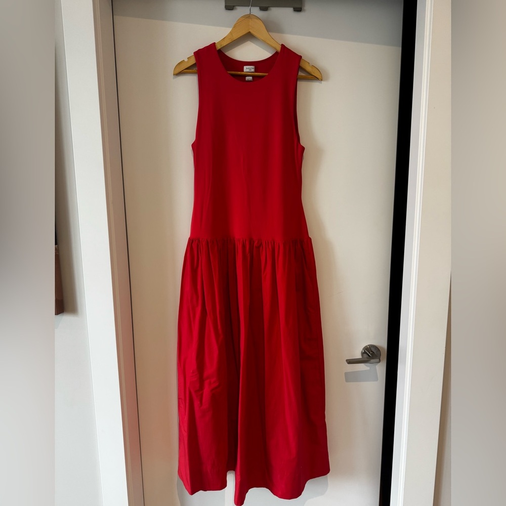 Aritzia Babaton Worldly Poplin Dress